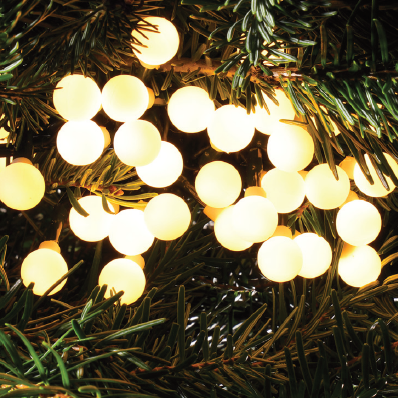 100 Warm White Berry Lights