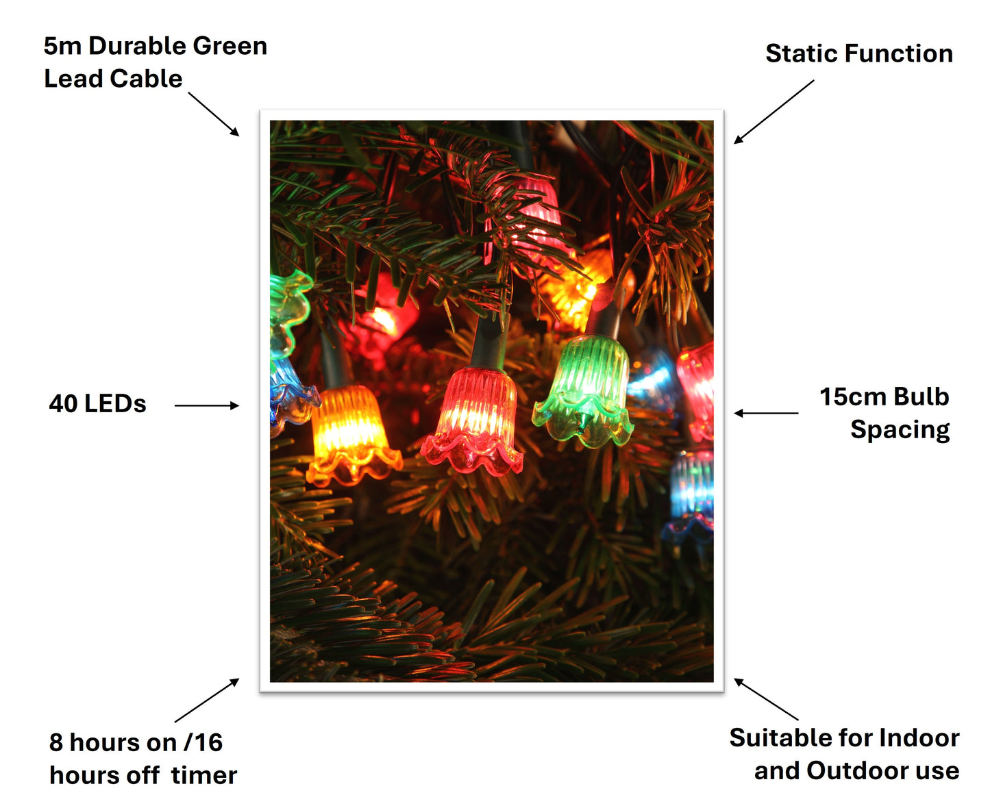 Canterbury Belles LED String Light