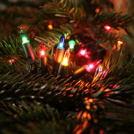 Multi Coloured LED Classic Lights - 40 LEDS