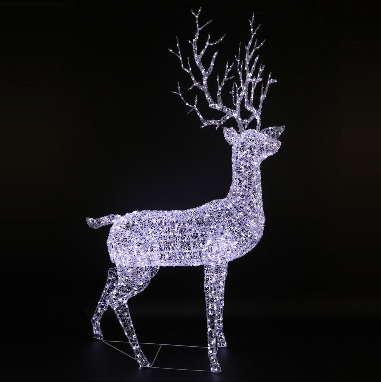 Spun Acrylic Monarch Stag