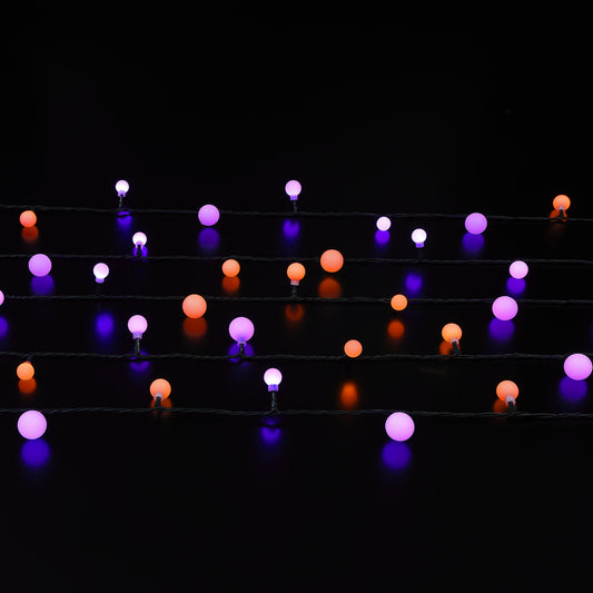 Spectrum Berry String Lights