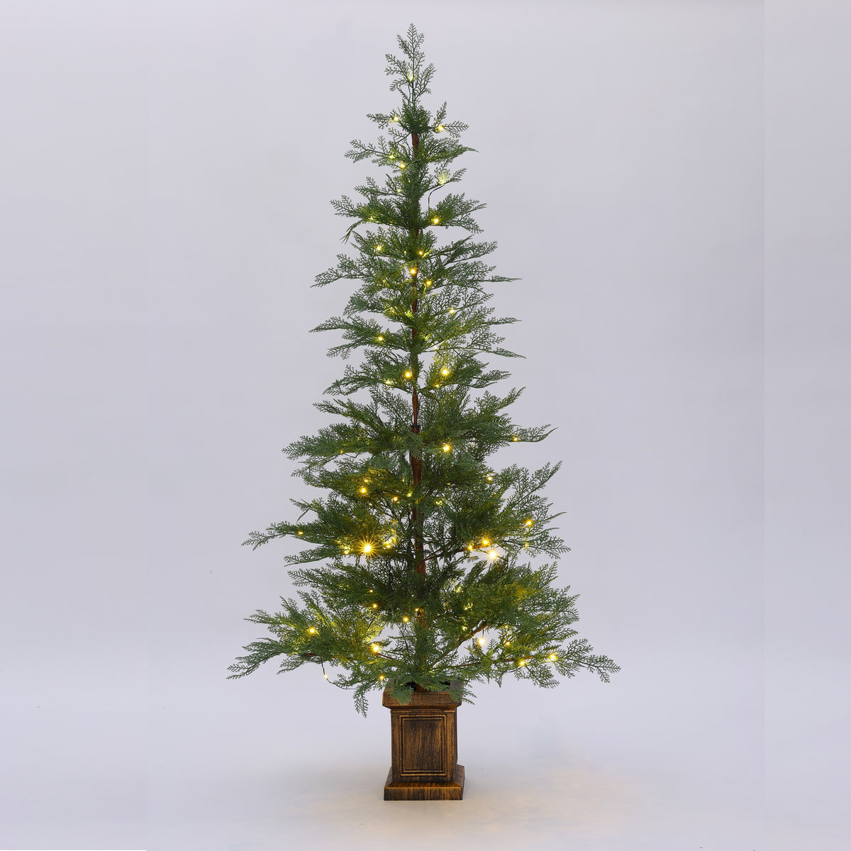 Pre-Lit Cartmel Doorstop Trees