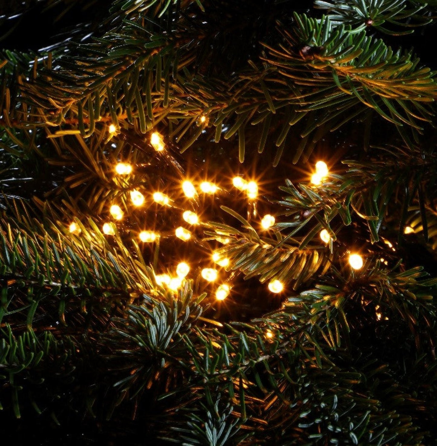 Antique White Multifunction String Lights With Green Cable