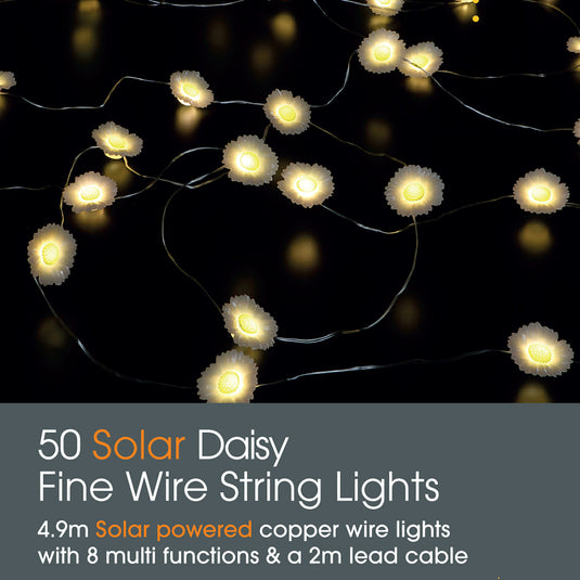 Daisy Solar Fine Wire Lights