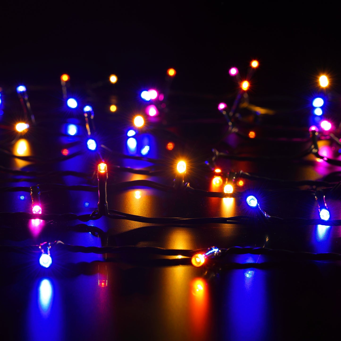 Harlequin String Lights