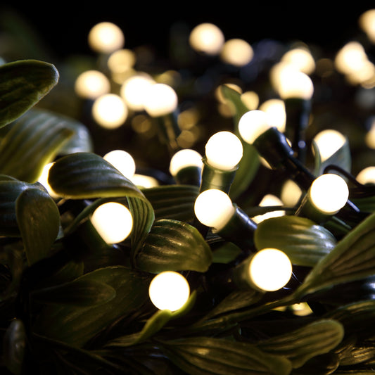 Warm White Berry Lights