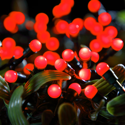 Red Berry Lights