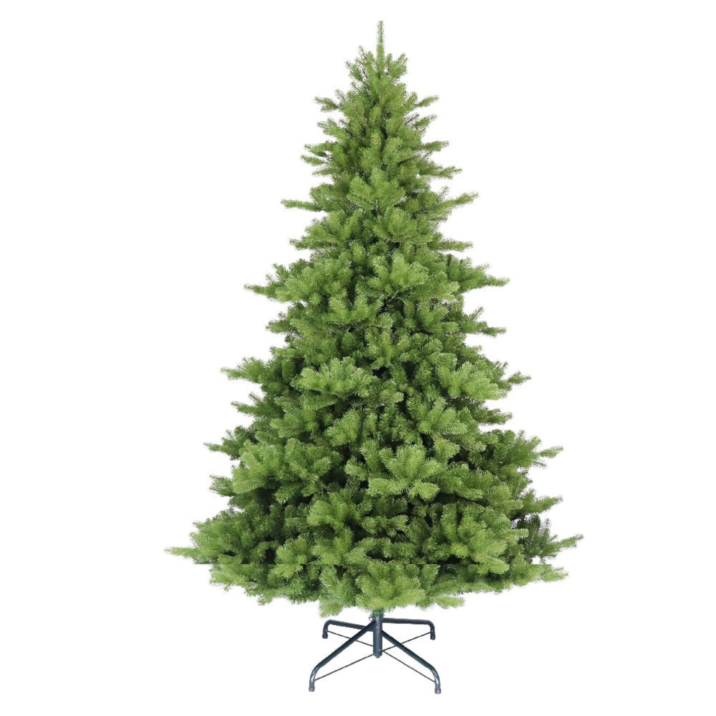 Highgrove Spruce