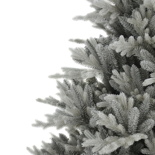 3' Silverdale Potted Tree