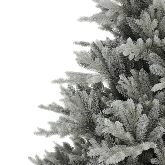 3' Silverdale Potted Tree