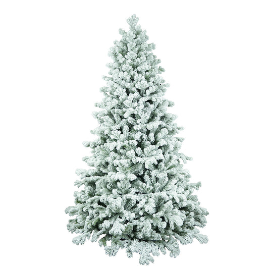 Lakeland snowmelt fir