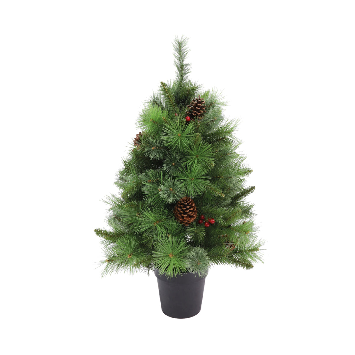 3' Aviemore Mixed Pine Potted Tree