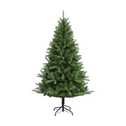 6' Canterbury Spruce