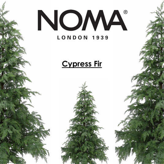 Cypress Fir