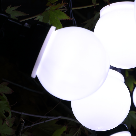 20 White Traditional Festoon Lights with Black Cable