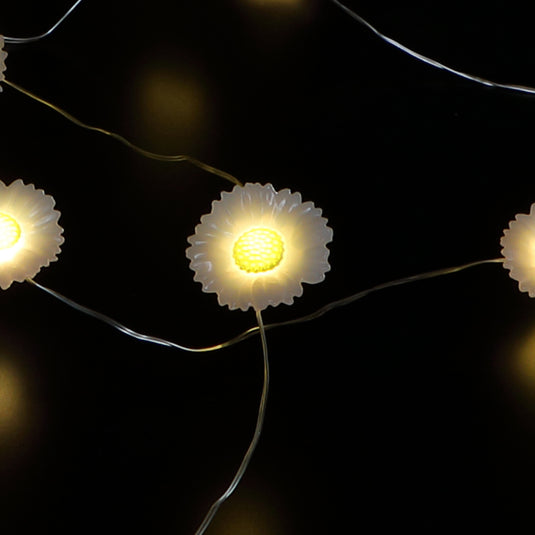 Daisy Solar Fine Wire Lights