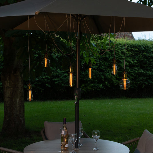 6 Battery Operated The Bulb Spider Lights