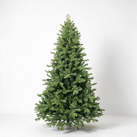 Lakeland Fir