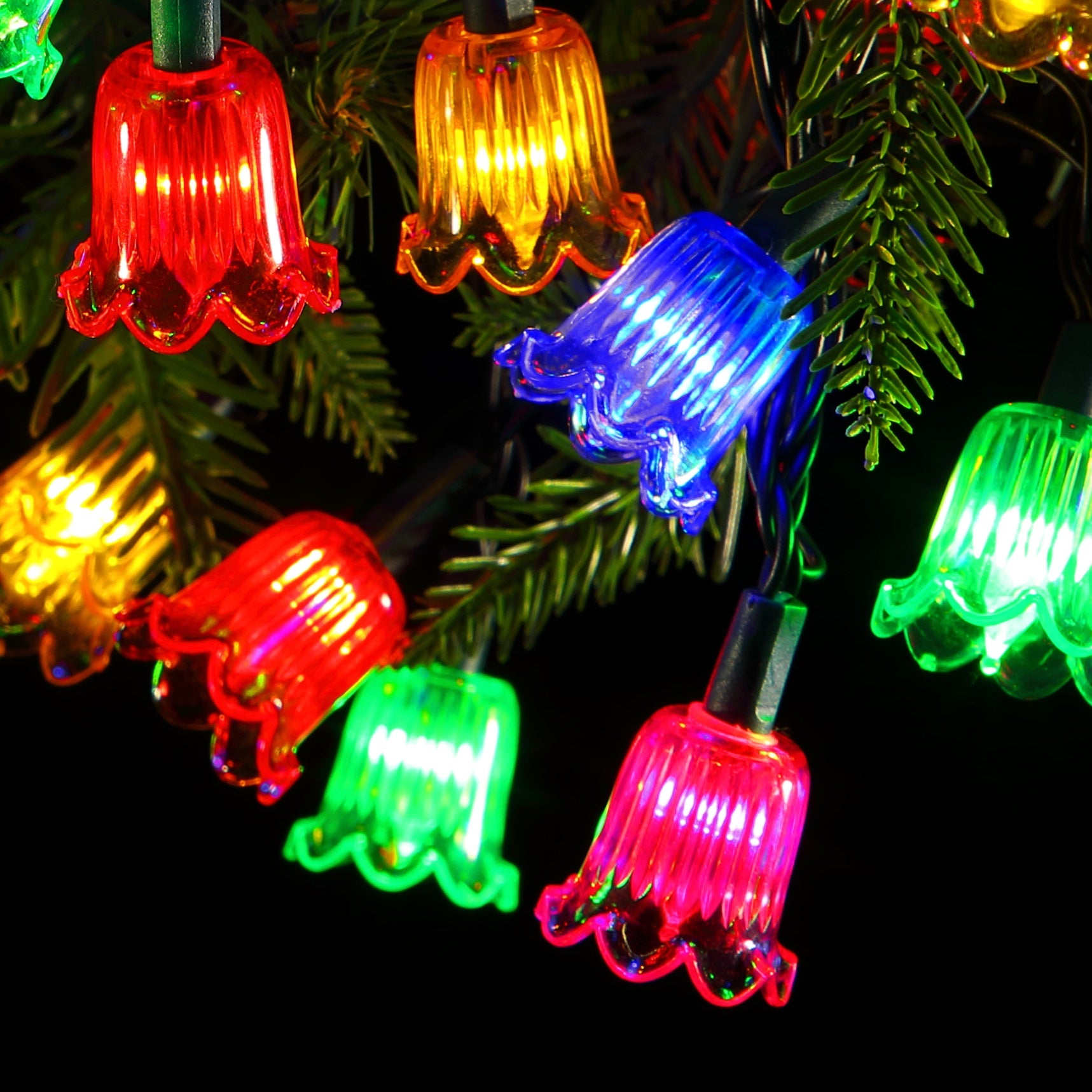 Traditional & Warm White Christmas Lights - NOMA