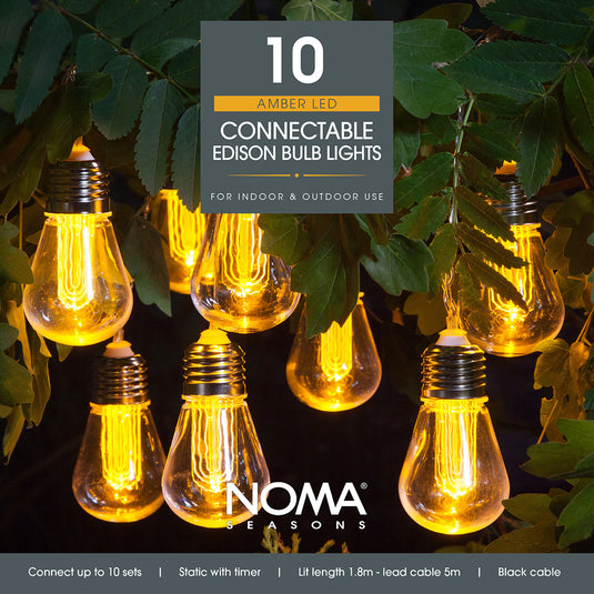 10 Edison Bulb String