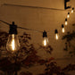 10 Connectable Small LED Edison Festoons
