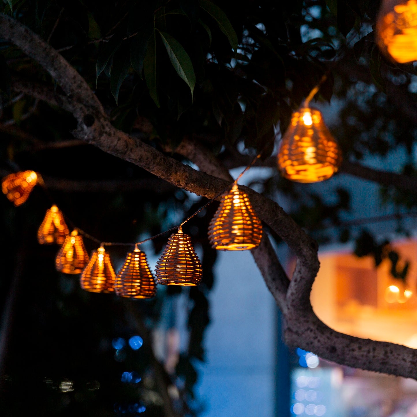 10 Brown Rattan Lantern Lights