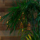 10 Brown Rattan Lantern Lights