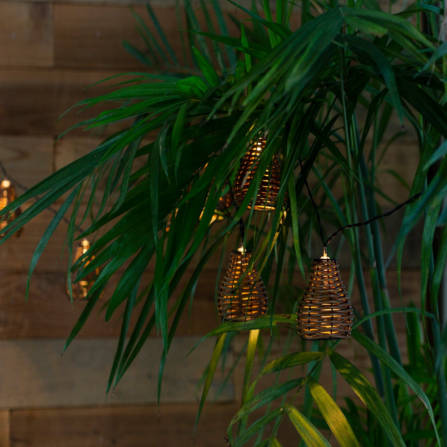 10 Brown Rattan Lantern Lights