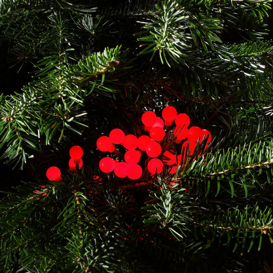 100 Red Berry Lights