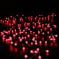 100 Colour Changeable Remote Controlled Berry Lights