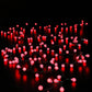 200 Colour Changeable Remote Controlled Berry Lights