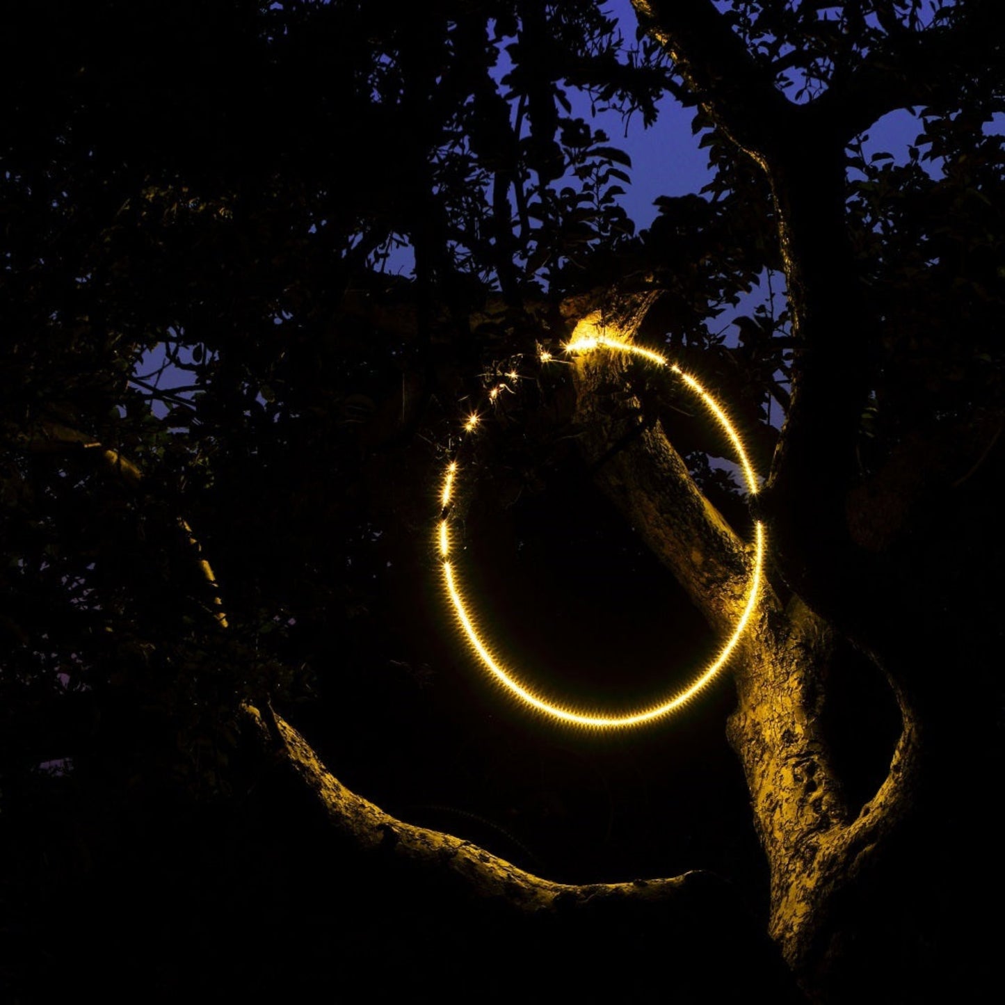 30cm Warm White Circle Of Light - 45 LEDs