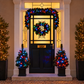 Colour Changeable Door Set with Wreath, Garland and 2 Trees - 200 LEDs