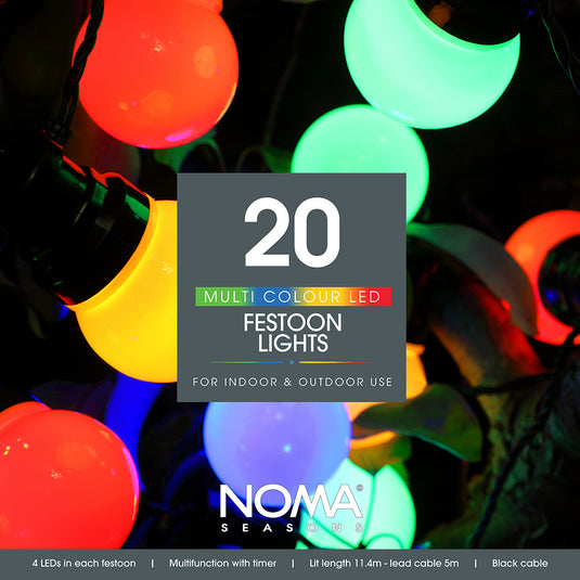 20 Multicolour Traditional Festoon Lights with Black Cable
