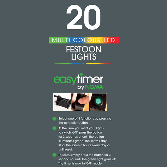 20 Multicolour Traditional Festoon Lights with Black Cable