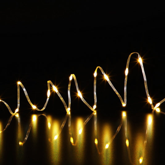 200 Warm White Flexi Wire Lights With Clear Cable