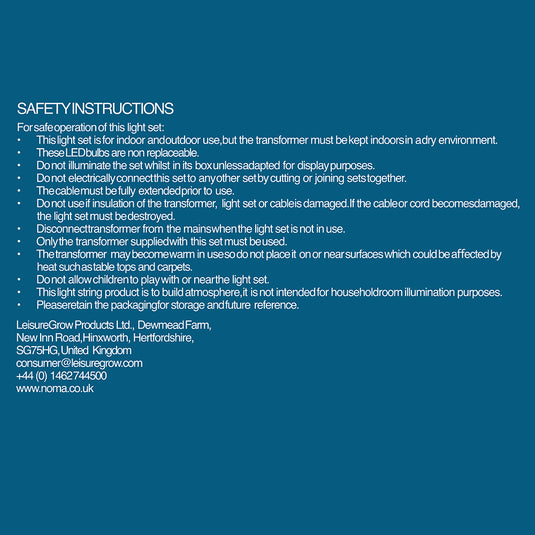 10 Colour Changing Large Flower Fibre Optic String Light