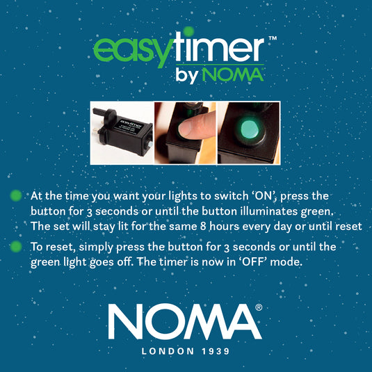 10 Colour Changing Large Flower Fibre Optic String Light