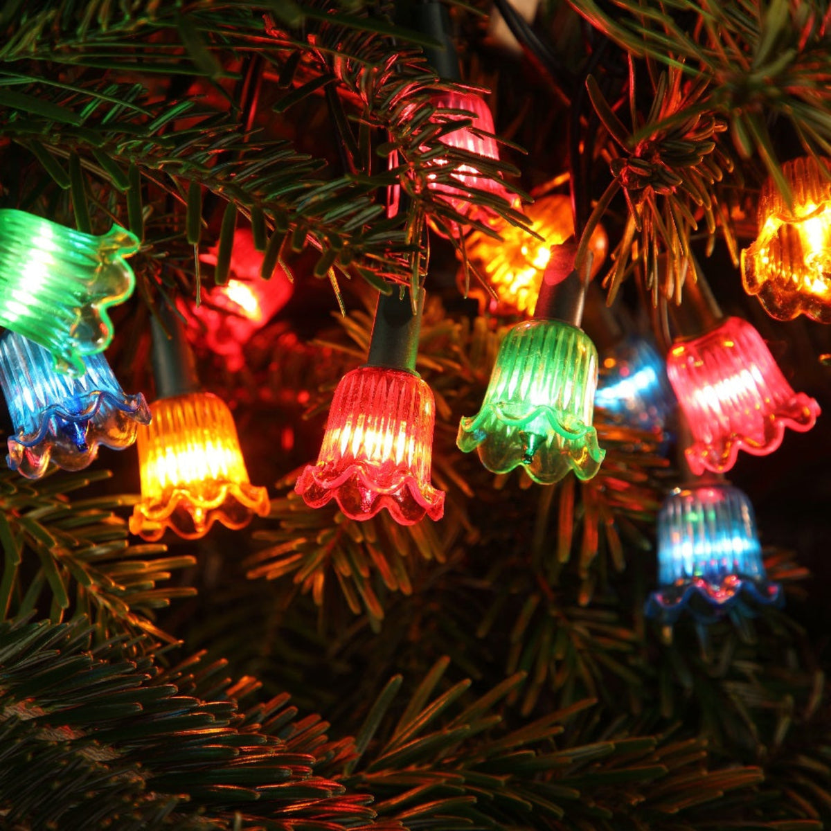 Canterbury Belles LED String Light