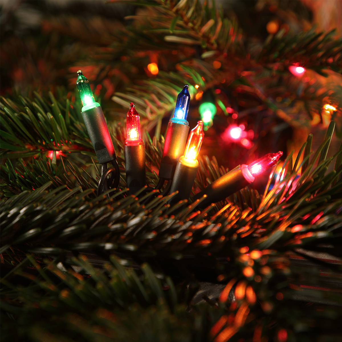 40 Multi Coloured LED Classic Lights