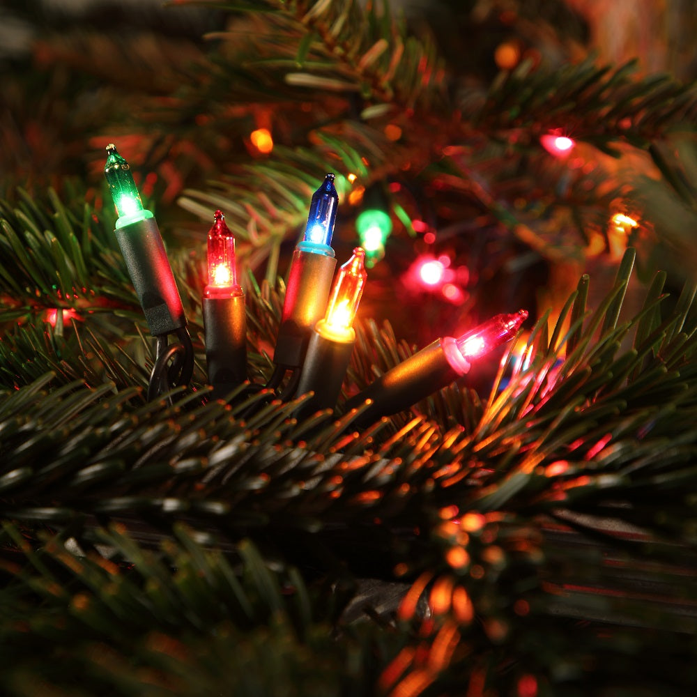 Multi Coloured LED Classic Lights - 40 LEDS