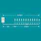 40 Classic Warm White LED String Lights