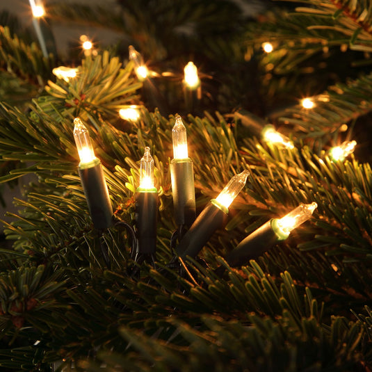 Classic Warm White LED String Lights - 40 LEDS