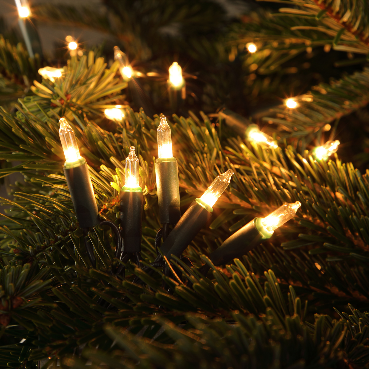 80 Classic Warm White LED String Lights