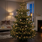80 Classic Warm White LED String Lights