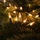 240 Classic Warm White LED String Lights