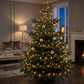 240 Classic Warm White LED String Lights