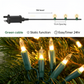 240 Classic Warm White LED String Lights