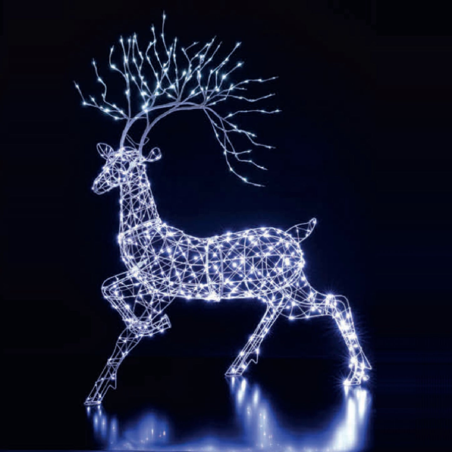 Flexi Light Woburn Stag