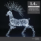 Flexi Light Woburn Stag